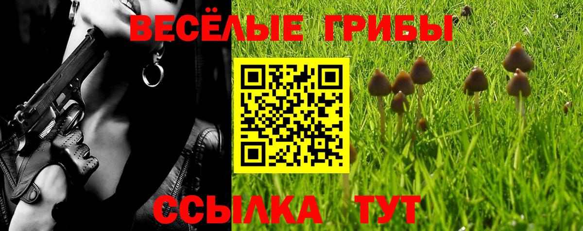 Псилоцибиновые грибы прущие грибы Стрежевой