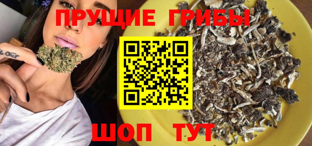 Псилоцибиновые грибы Cubensis  продажа наркотиков  Стрежевой  Вход с VPN 